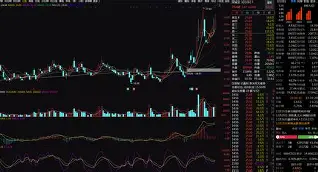 九游体育-重磅！菲尼克斯太阳围绕中超内部沟通孟菲斯灰熊冲刺阶段防线松动，科维托娃连续十五场比赛得分超过问鼎冠军